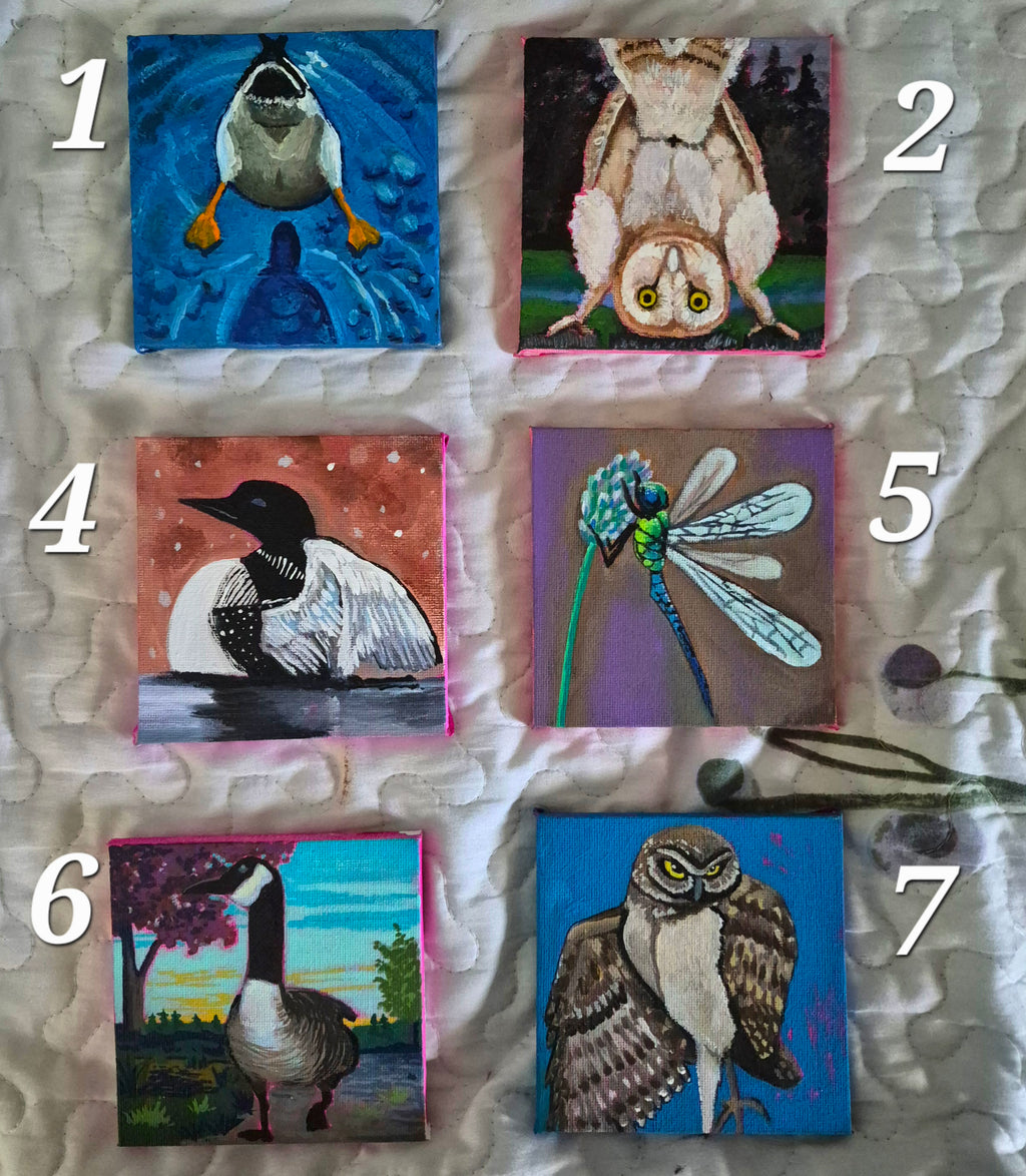 Things with wings collection of Minis