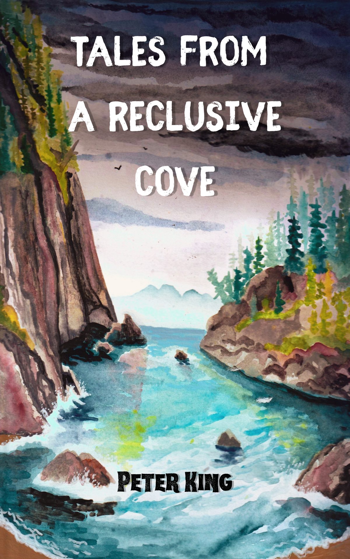 Book Cover Artwork/ Posters